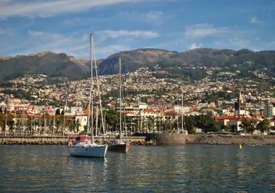 Sailboats in Funchal harbor with Madeira's steep green terrain behind.